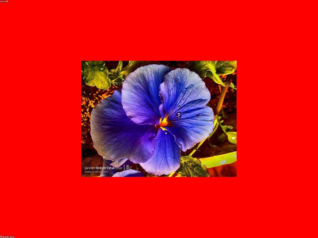 សារៈសំខាន់នៃការផ្តល់ជូនសម្រាប់អាជីវកម្ម
